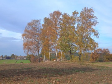 Jesień w Parku Krajobrazowym Wzniesień Łódzkich, Mateusz Starnowski